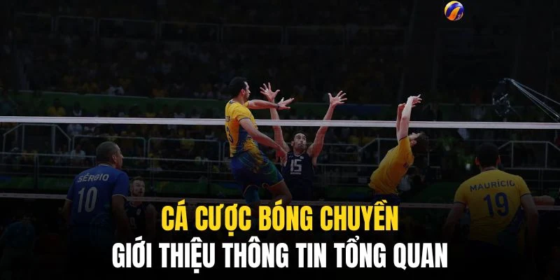 Cá Cược Bóng Chuyền QQ88 - Mọi Thông Tin Cho Mọi Bet Thủ 1 Hình thức nhận được sự ủng hộ đông đảo của cộng đồng bet thủ