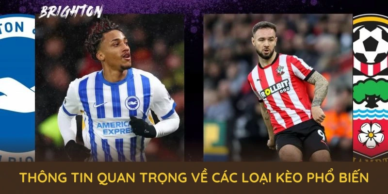 Các Loại Kèo Phổ Biến Tại QQ88 Và Loạt Ưu Đãi Mới Nhất 2025 1 Các thông tin quan trọng về các loại kèo phổ biến tại sảnh thể thao QQ88