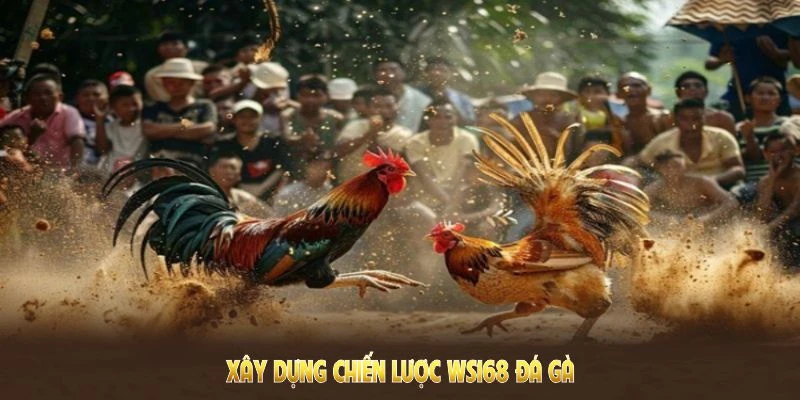 WS168 Đá Gà QQ88 - Nơi Hội Tụ Những Kê Thủ Đam Mê Chọi Kê 3 Xây dựng chiến lược khôn ngoan tại WS168 đá gà